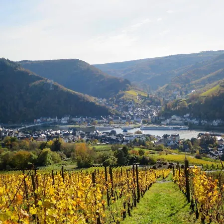 Weingut Krempel By Interhome Appartement *