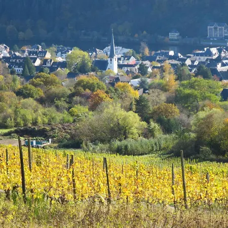 Weingut Krempel By Interhome * Traben-Trarbach