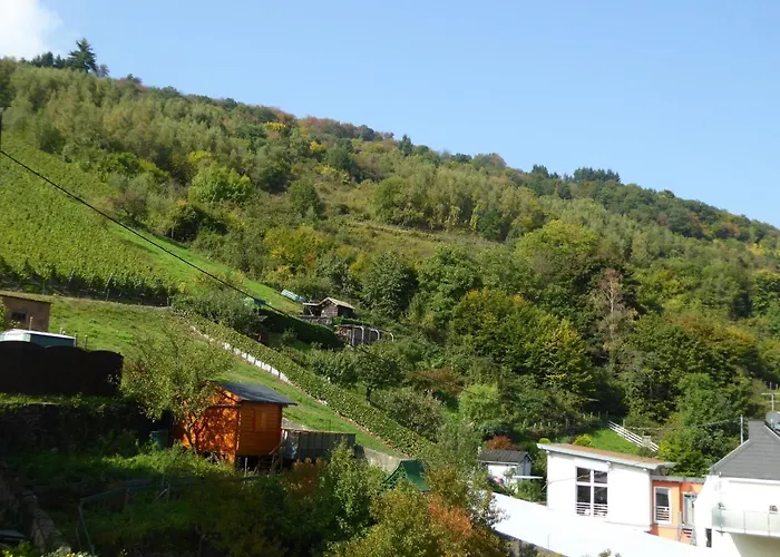 Weingut Krempel By Interhome Apartment Traben-Trarbach