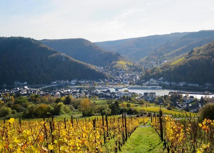 Weingut Krempel By Interhome 公寓 *