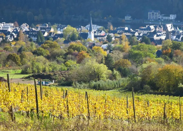 Weingut Krempel By Interhome * 特拉本特拉巴赫